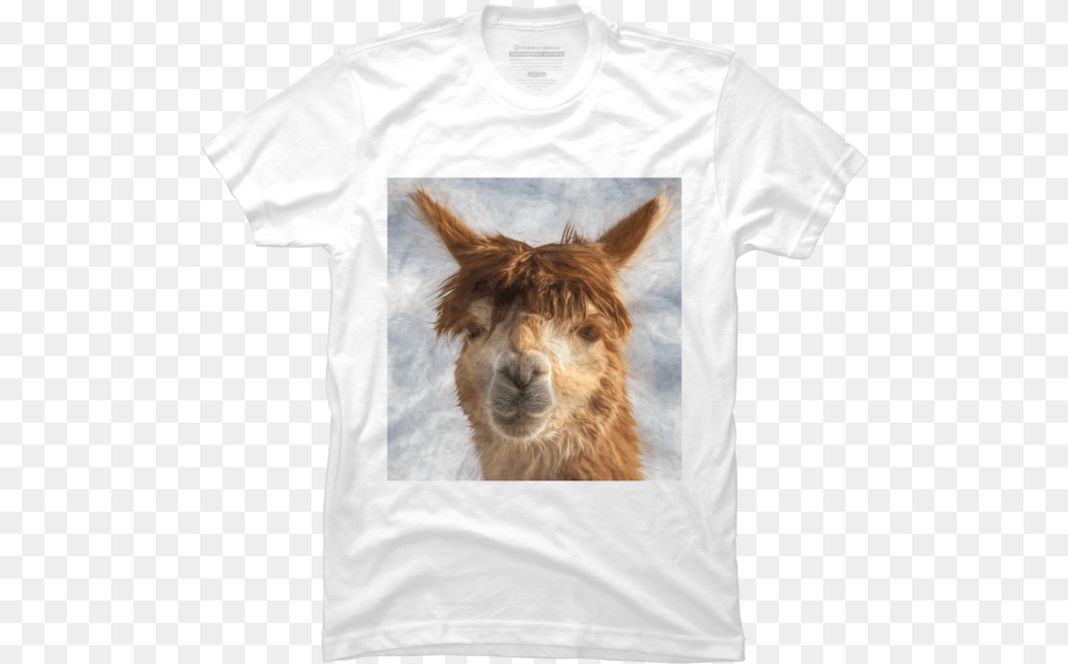 Transparent Llama Head Llama, Clothing, T-shirt, Shirt, Animal Free Png