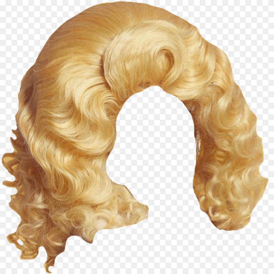 Transparent Long Hair Wig Drag Queen Wig, Animal, Canine, Dog, Mammal Png