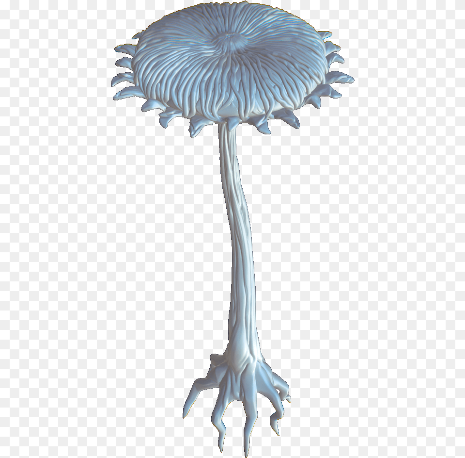 Transparent Lost Borassus Flabellifer, Fungus, Plant, Agaric, Mushroom Free Png