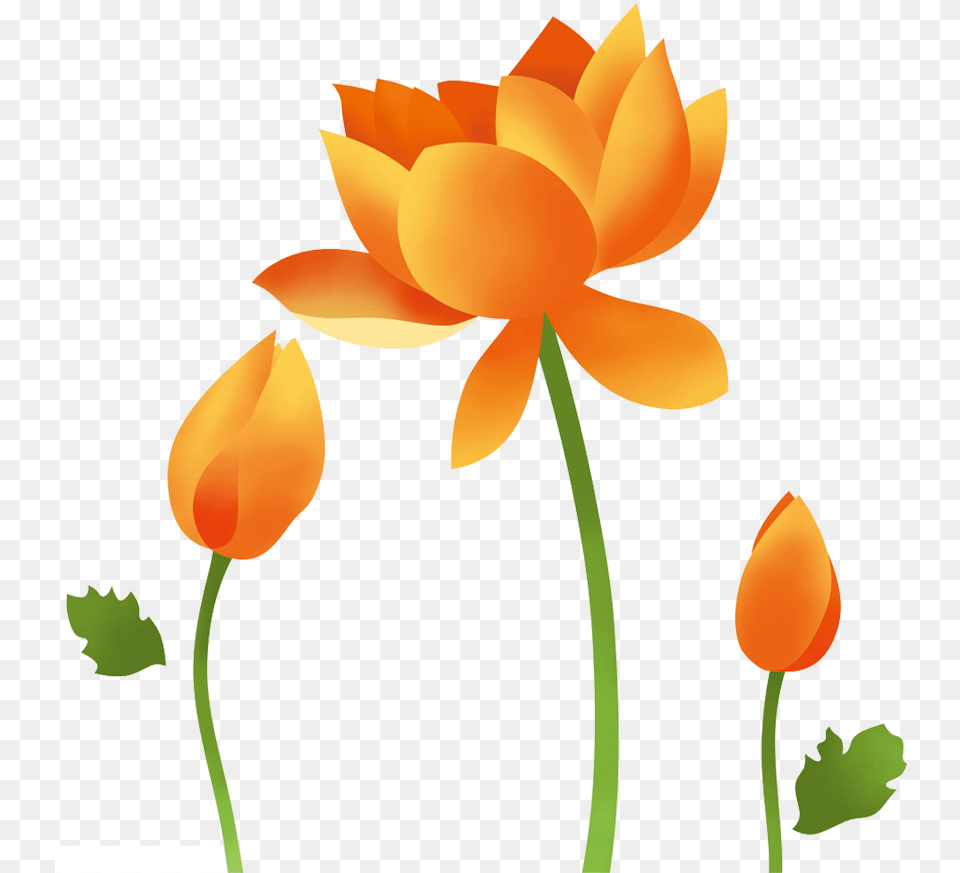 Transparent Lotus Flower Images Clipart, Dahlia, Petal, Plant, Daisy Free Png