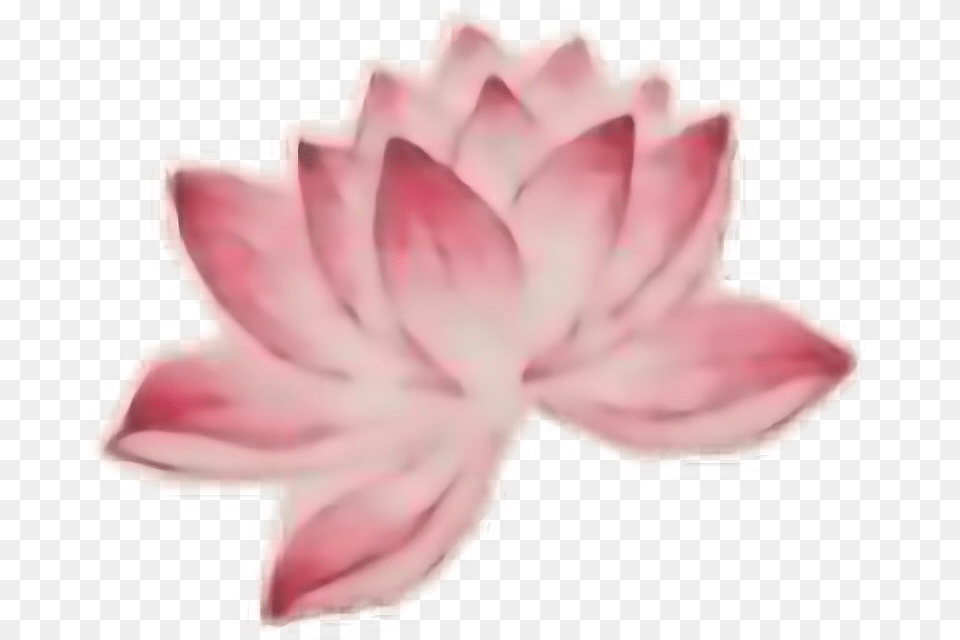 Transparent Lotus Tattoo Sacred Lotus, Dahlia, Flower, Petal, Plant Free Png Download