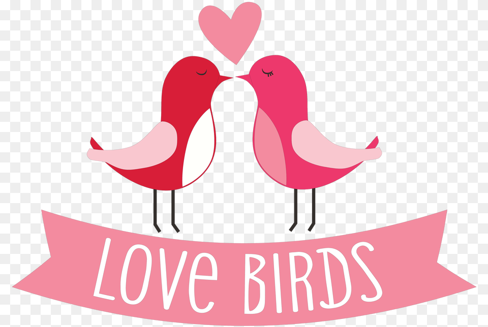 Transparent Love Birds Turkey, People, Person Free Png