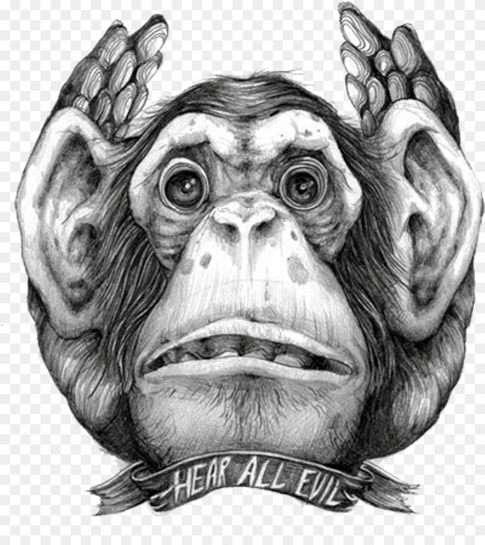 Transparent Lowrider Clipart Three Wise Monkeys Drawing, Adult, Person, Man, Mammal Png