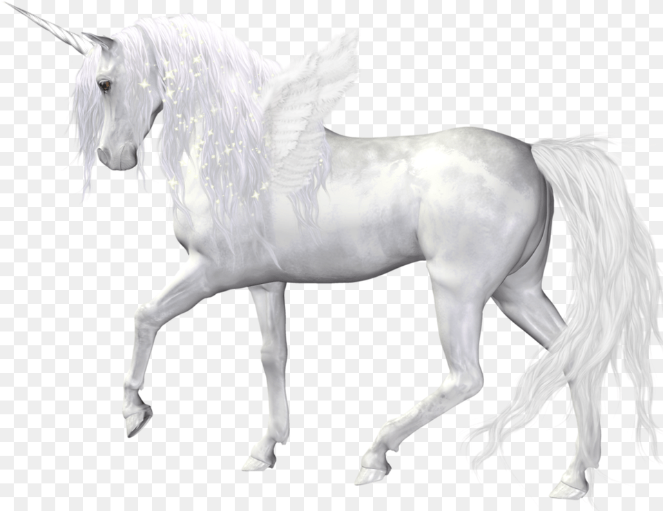 Lularoe Unicorn Fantasy Unicorn, Animal, Horse, Mammal, Stallion Free Transparent Png