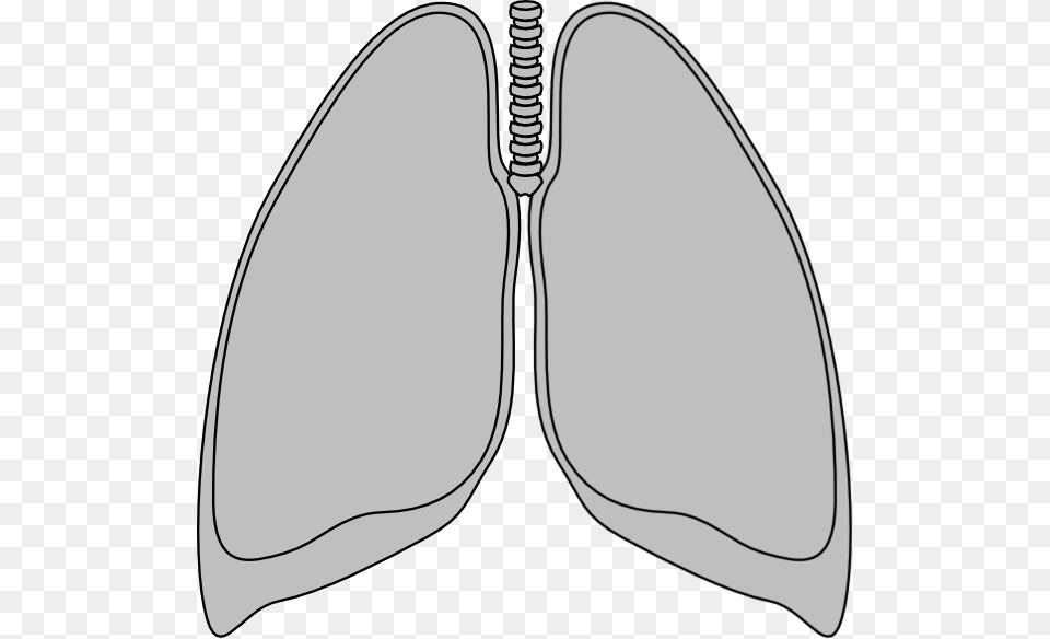 Transparent Lungs Clip Art Outline Of A Lung, Smoke Pipe Png