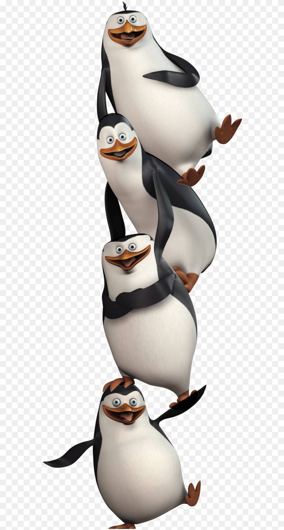 Transparent Madagascar Clipart Penguin Madagascar Wallpaper Android, Animal, Bird Png