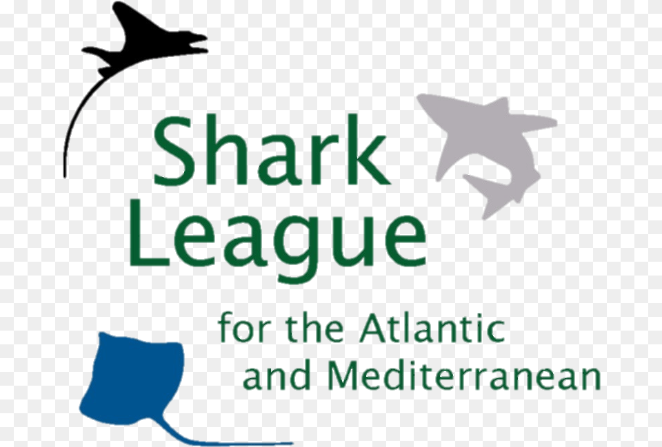 Transparent Mako Shark Geek, Symbol, Animal, Cat, Mammal Free Png