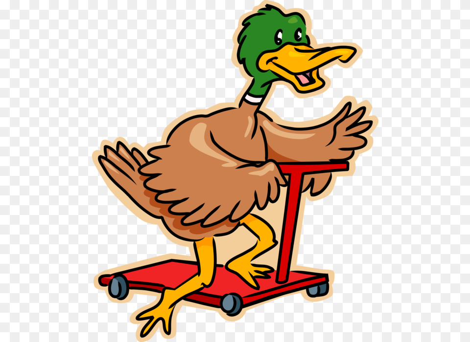 Transparent Mallard Duck Duck Riding A Scooter, Animal, Beak, Bird, Baby Free Png