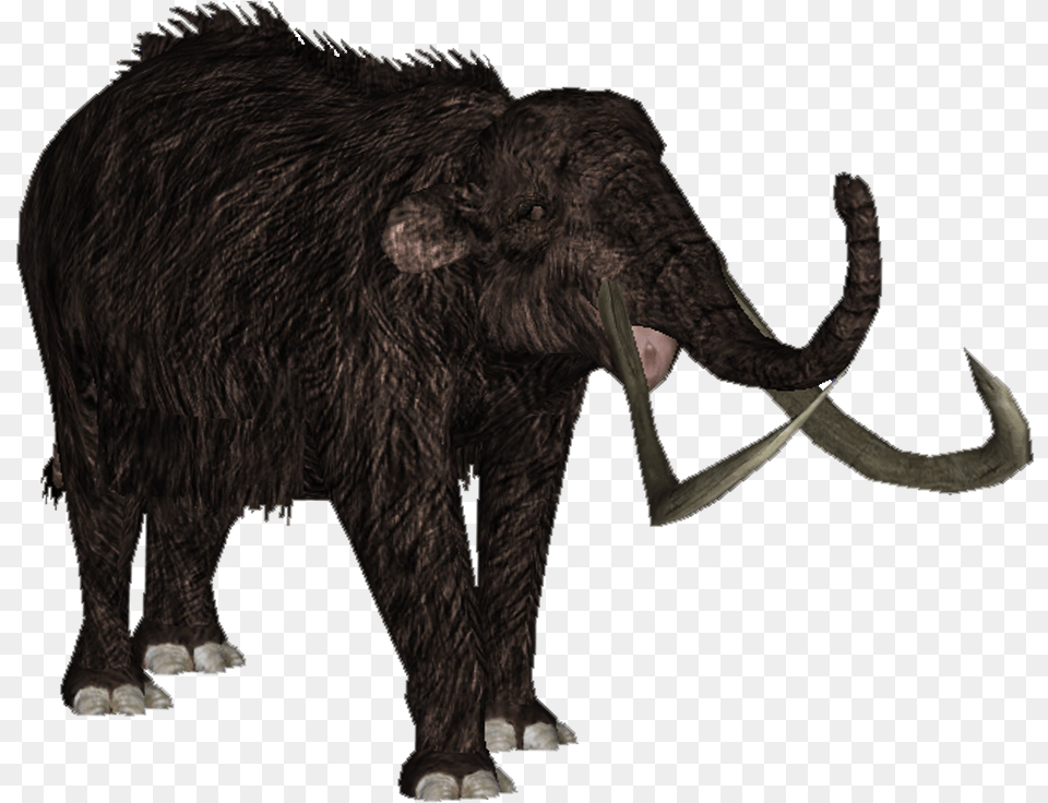 Transparent Mammoth Zoo Tycoon Woolly Mammoth, Animal, Elephant, Mammal, Wildlife Free Png