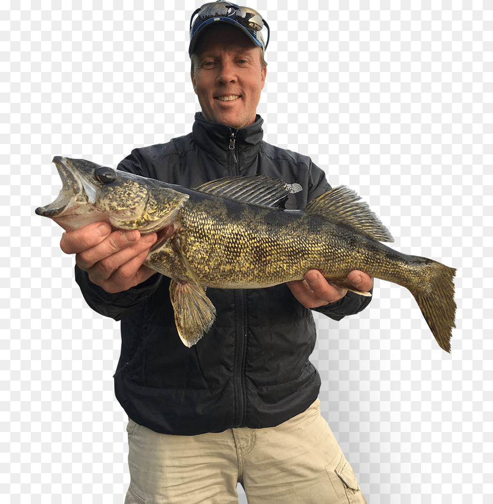 Man Fishing Gammon Fish, Adult, Person, Male, Animal Free Transparent Png