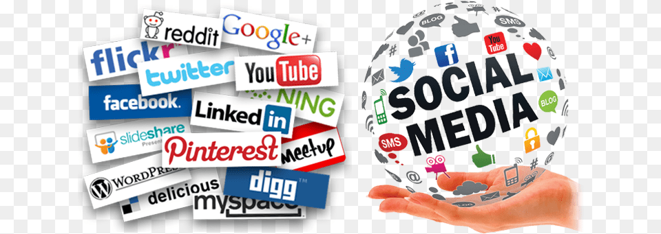 Transparent Management Social Media Marketing, Sticker, Vehicle, Transportation, License Plate Png Image