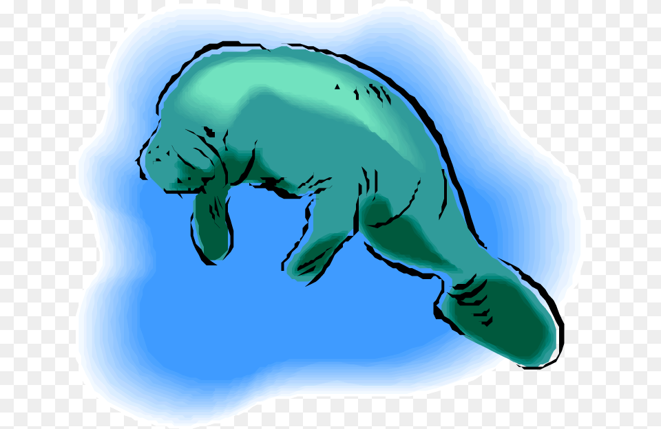 Transparent Manatee Sea Cow, Animal, Mammal, Baby, Person Free Png