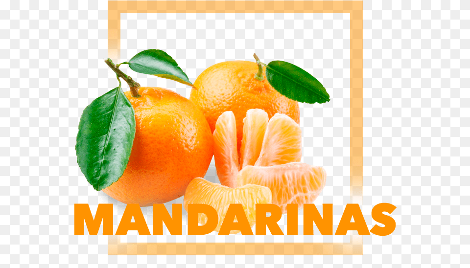 Mandarina Klementinas, Citrus Fruit, Food, Fruit, Grapefruit Free Transparent Png