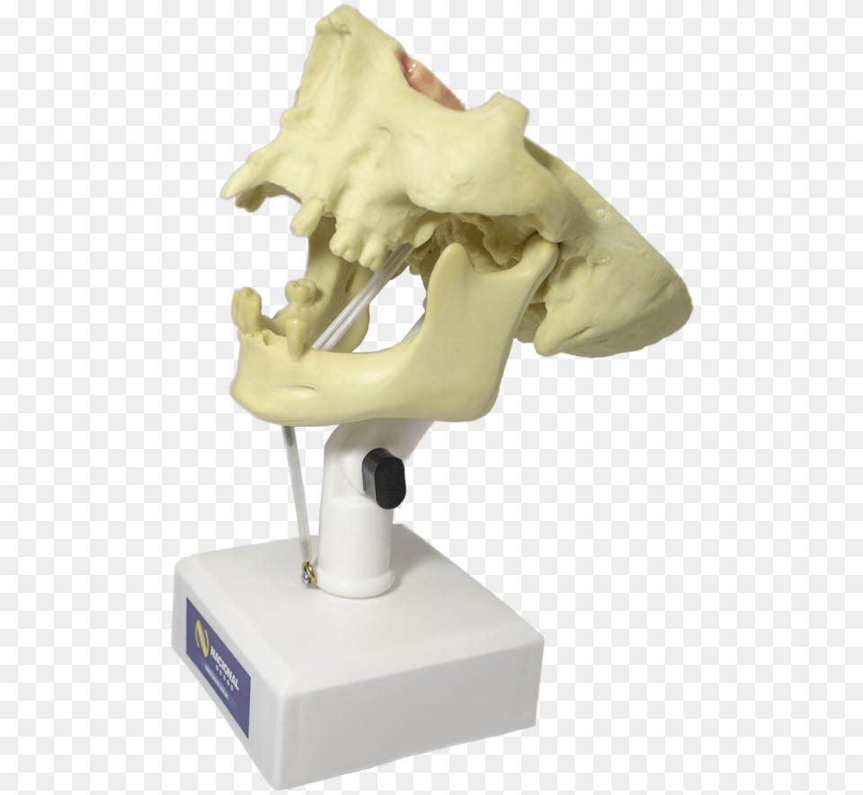 Transparent Manequim Statue Png Image