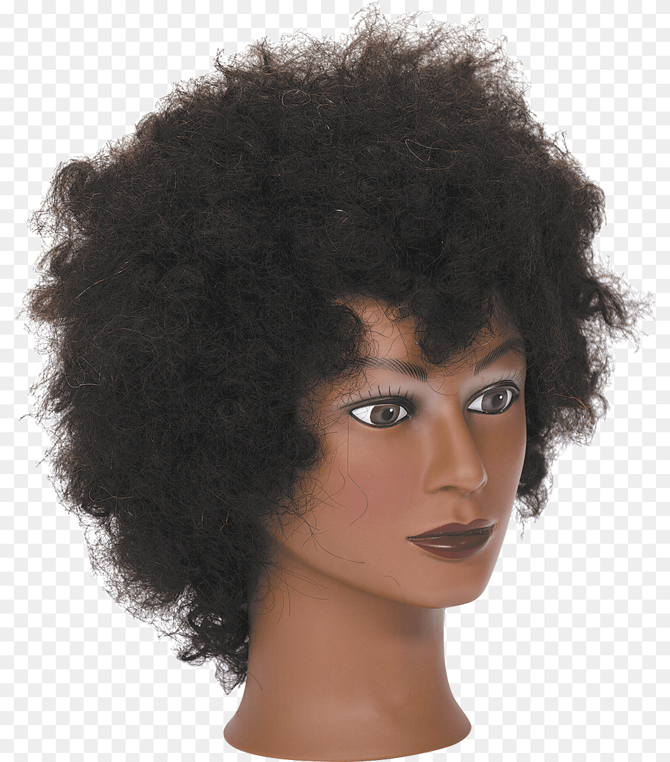 Manikin Afro Wig On Manican, Adult, Person, Female, Woman Free Transparent Png