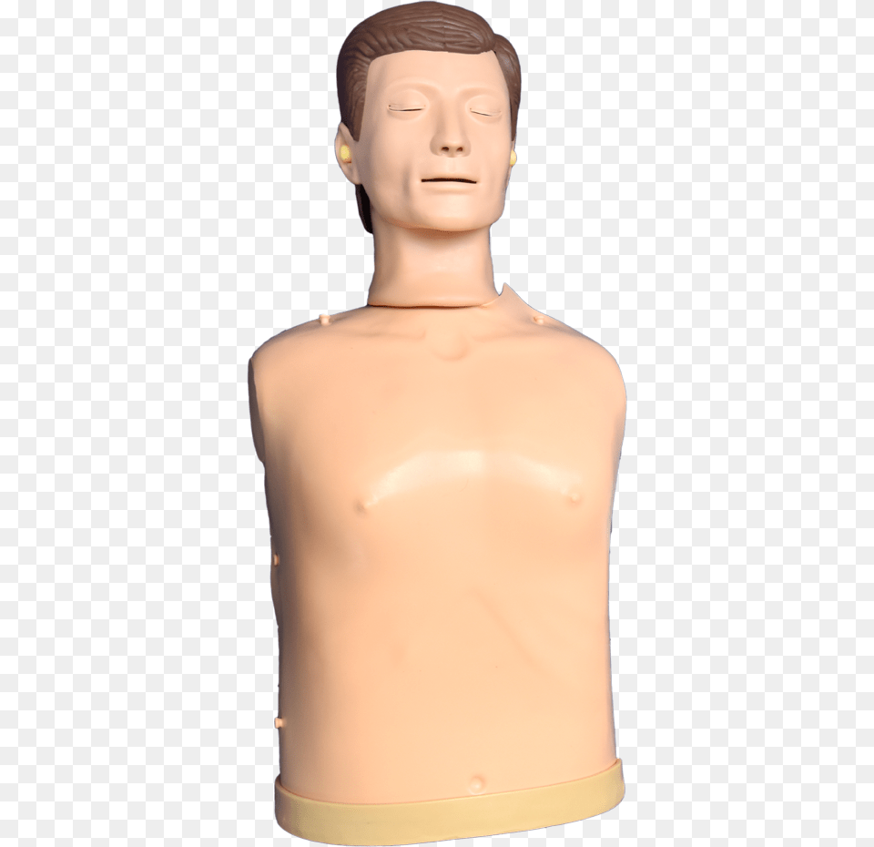 Transparent Manikin Mannequin, Adult, Body Part, Male, Man Free Png Download