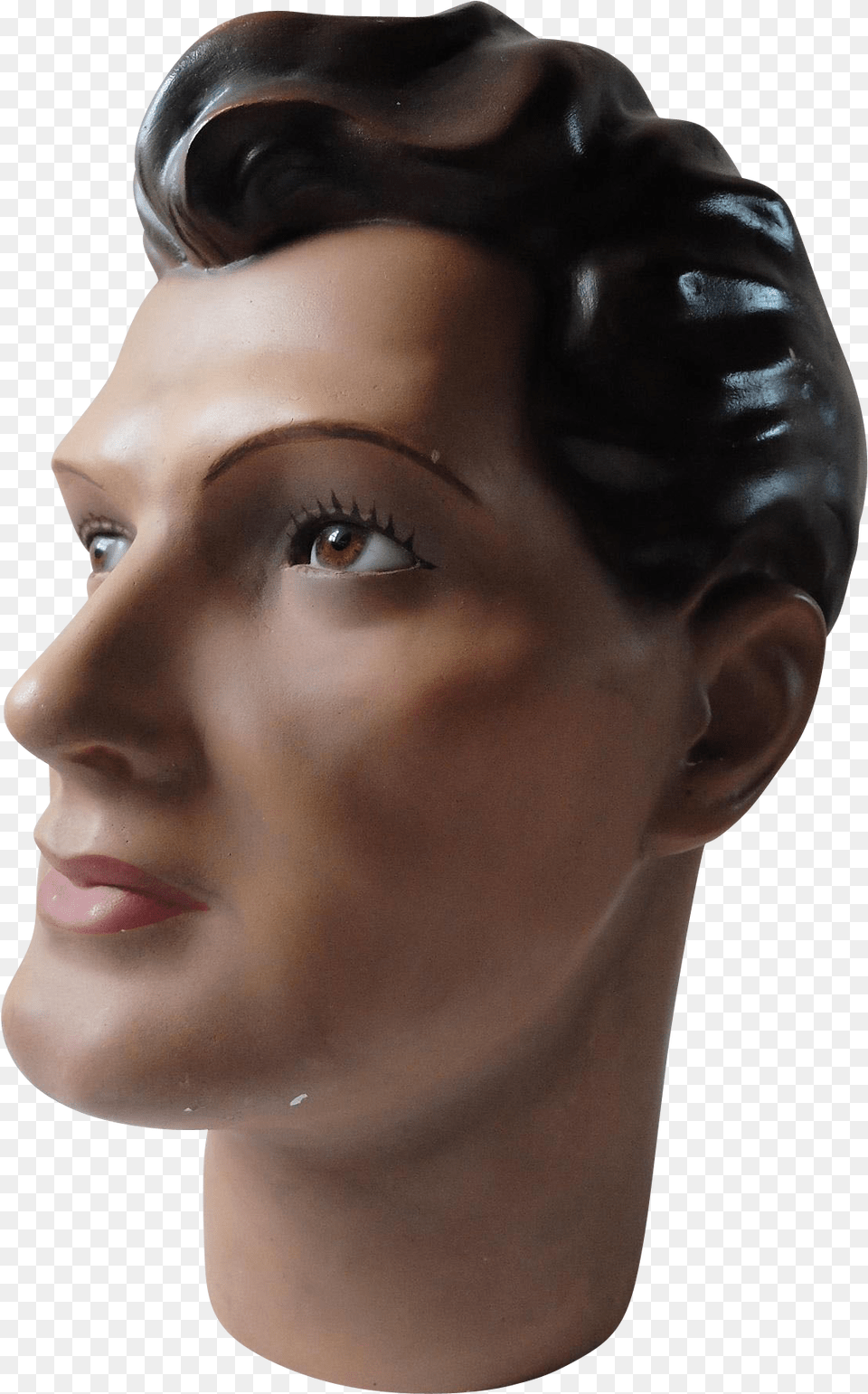 Transparent Mannequin Deco Male Mannequin Head, Adult, Female, Person, Woman Free Png