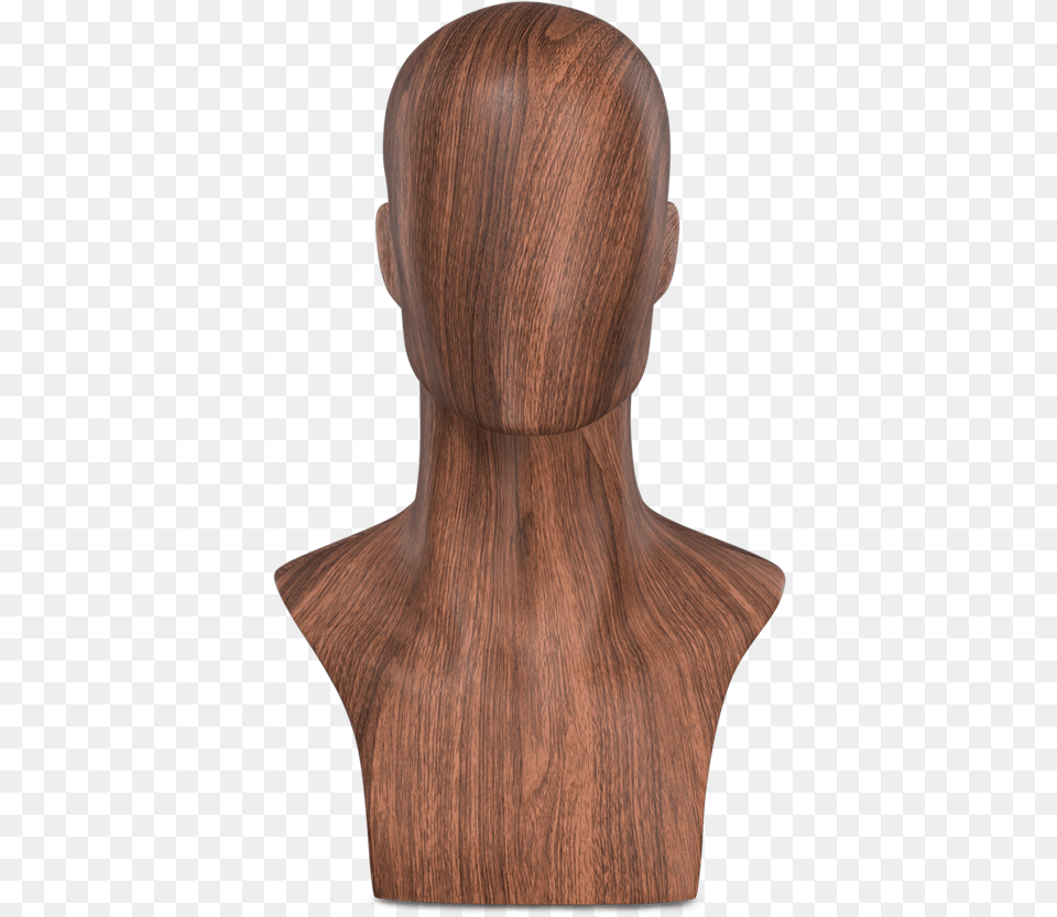 Transparent Mannequin Head Mannequin, Adult, Female, Person, Woman Free Png