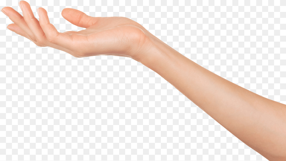 Transparent Mano Woman39s Arm And Hand, Body Part, Person, Wrist, Finger Png Image