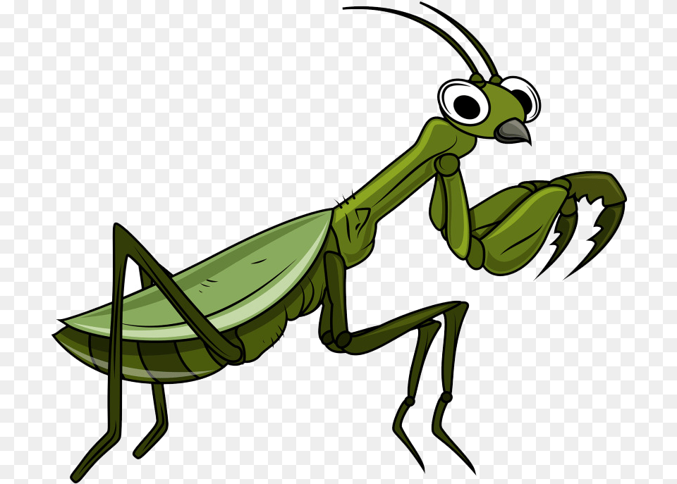 Transparent Mantis Clipart, Animal, Insect, Invertebrate Png Image