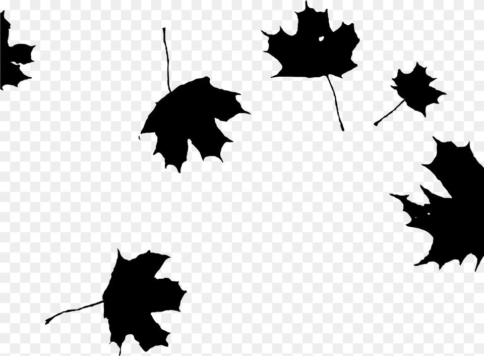 Maple Leaf Clipart Autumn Leaves Black And White, Gray Free Transparent Png