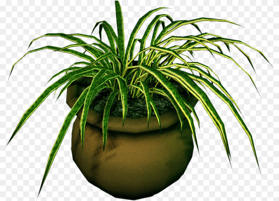 Transparent Marijuana Plant Clipart Dead Plant, Jar, Planter, Potted Plant, Pottery Png Image