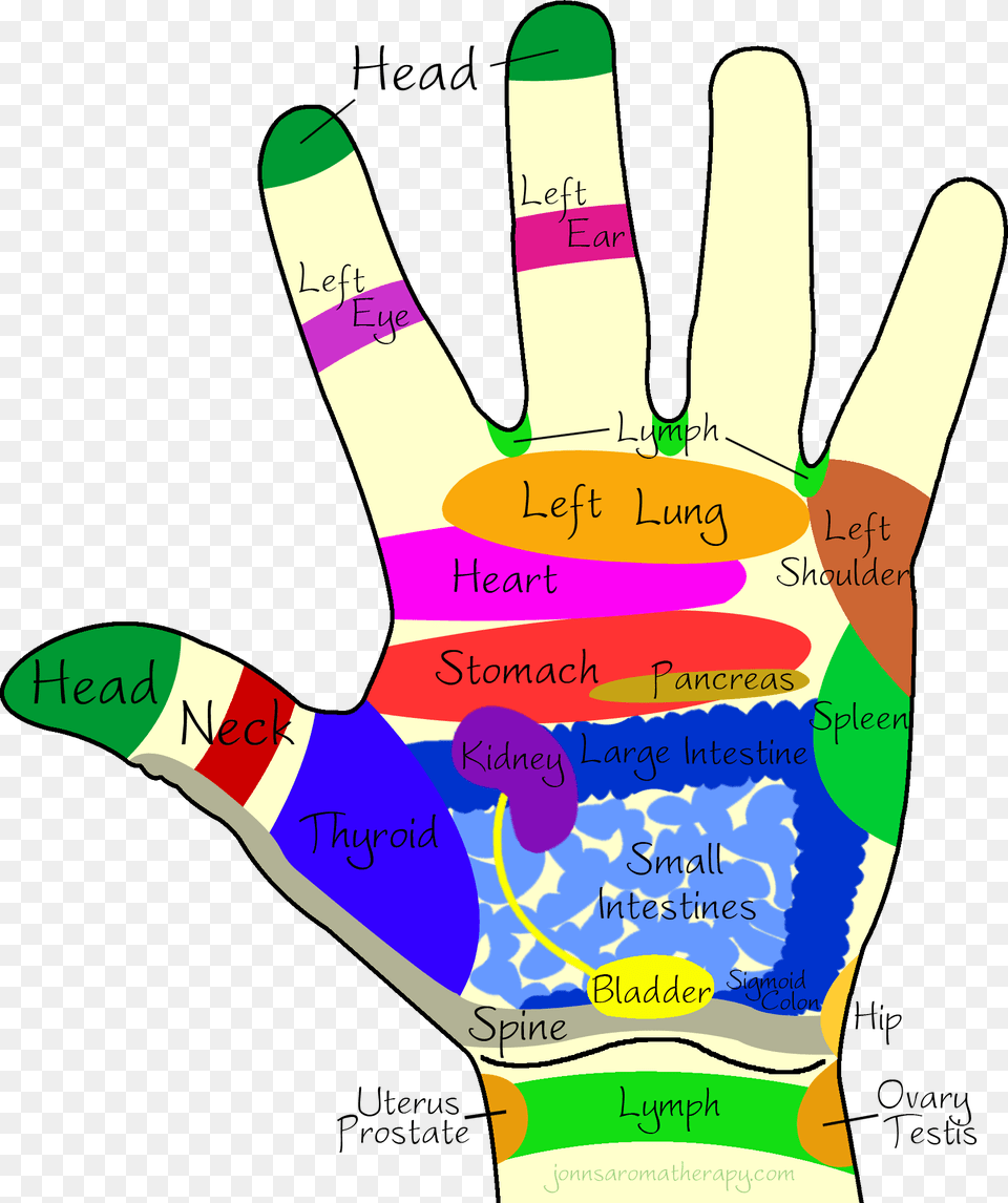 Transparent Massage Hands Clipart Colour Therapy On Hands, Glove, Clothing, Person, Body Part Free Png