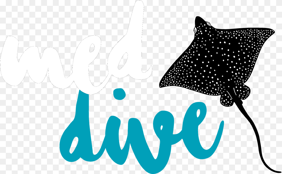 Mi Bautizo Clipart, Animal, Fish, Manta Ray, Sea Life Free Transparent Png