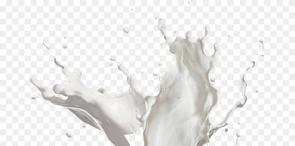 Milk Splash, Beverage, Food, Dairy, Wedding Free Transparent Png