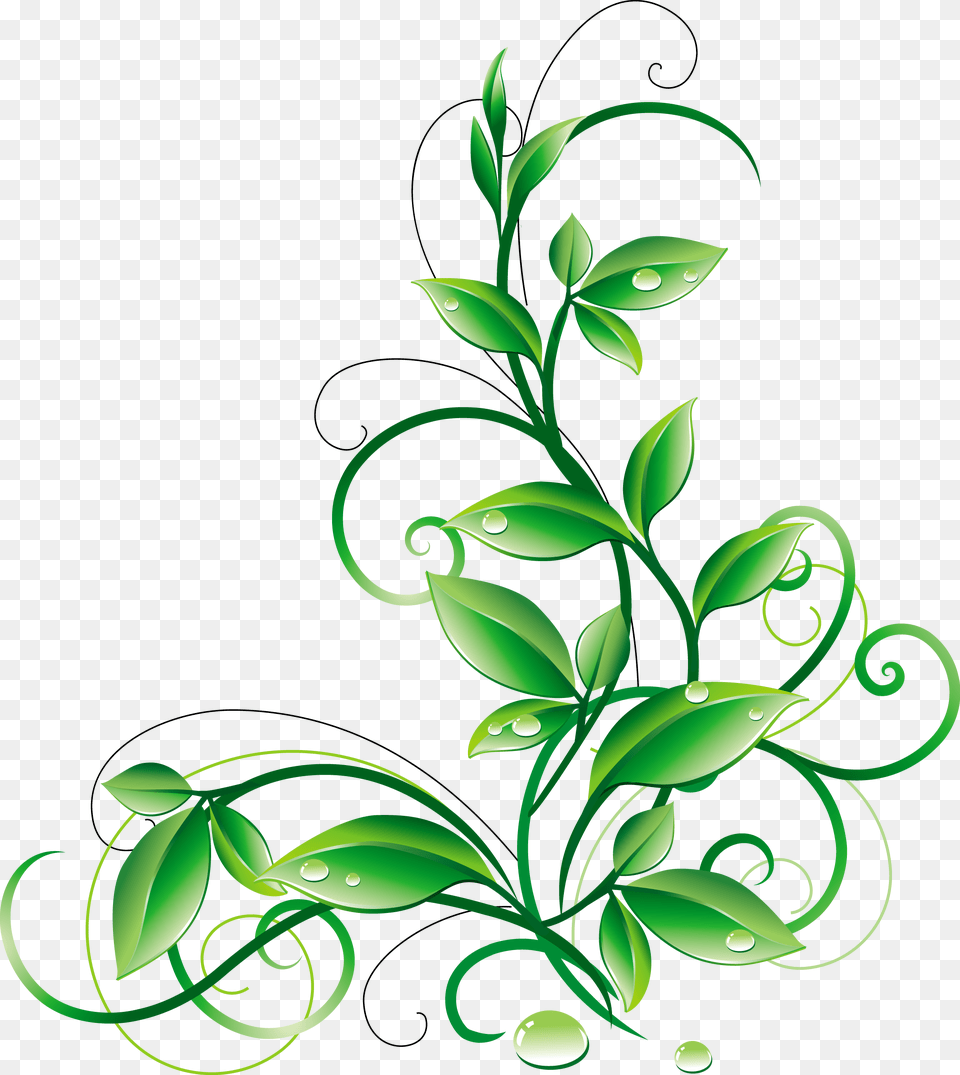 Transparent Mistletoe Clipart Green Floral Vector, Art, Floral Design, Graphics, Pattern Png Image