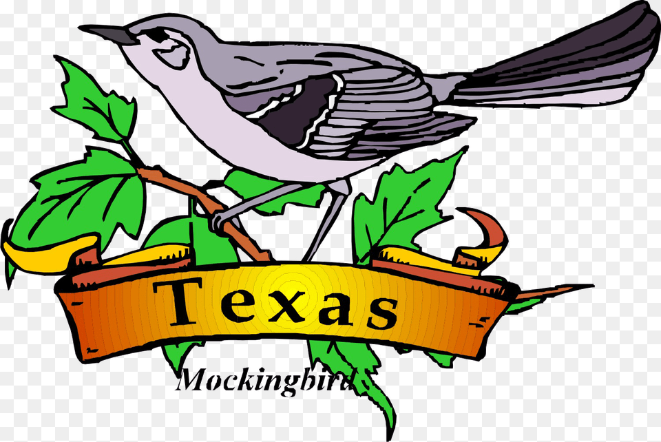 Transparent Mockingbird Clipart Printable Texas State Bird, Leaf, Plant, Animal, Jay Png Image