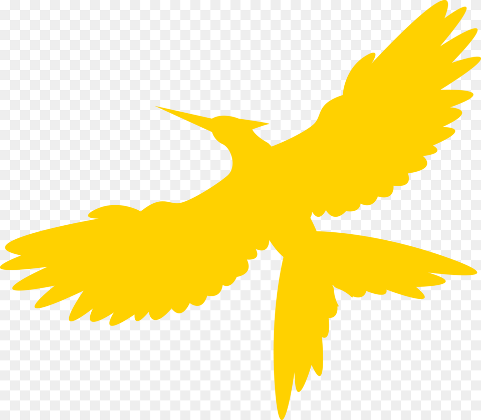 Transparent Mockingjay Perching Bird, Animal, Flying, Blackbird Png Image