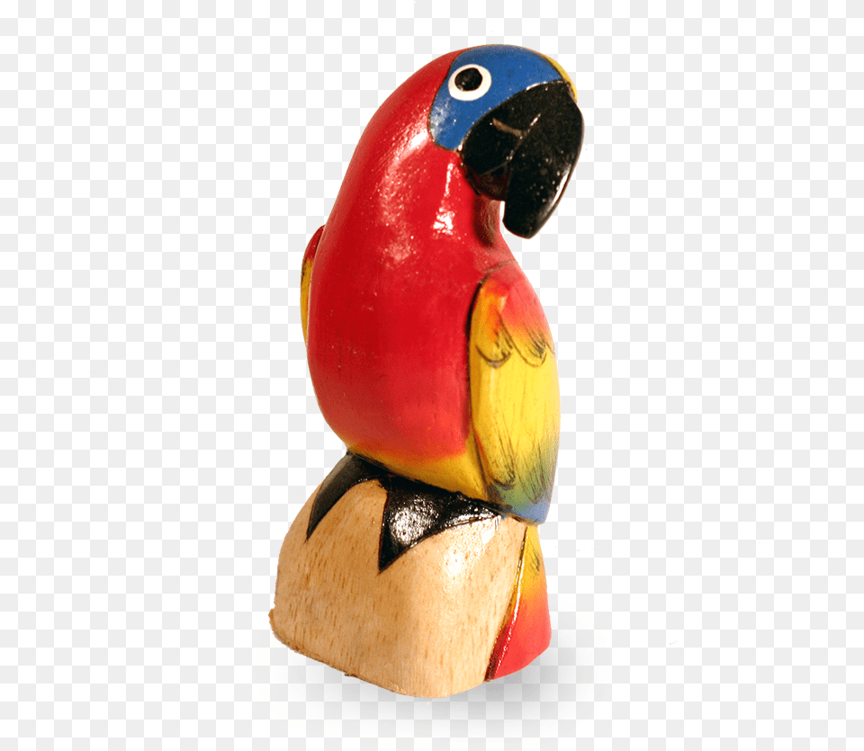 Mofongo Macaw, Animal, Beak, Bird Free Transparent Png