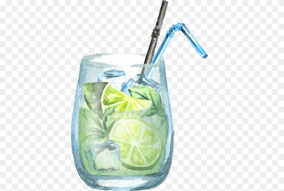 Transparent Mojito Clipart Cucumber Mint Drink Drawing, Alcohol, Beverage, Cocktail, Plant Png