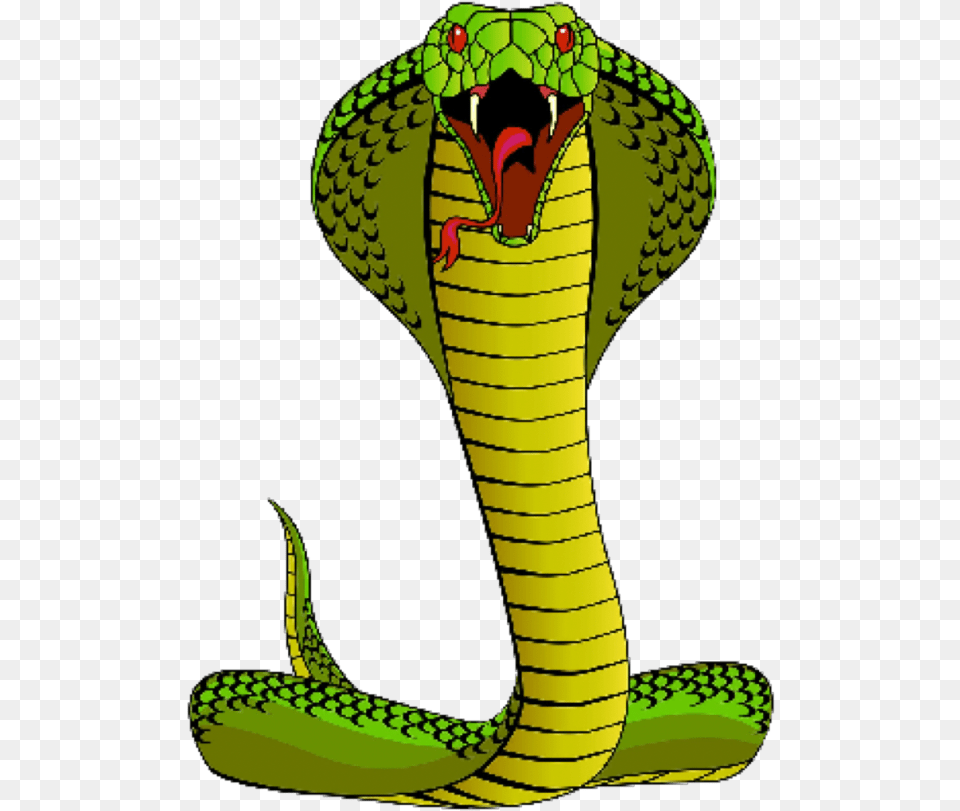 Transparent Mongoose Clipart Cobra Snake Cartoon Funny, Animal, Reptile Png