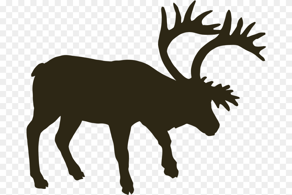 Transparent Moose Antlers Silhouette Musk Ox, Animal, Deer, Mammal, Wildlife Free Png