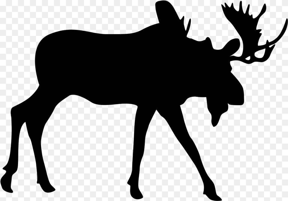 Moose Silhouette Silhouette, Gray Free Transparent Png