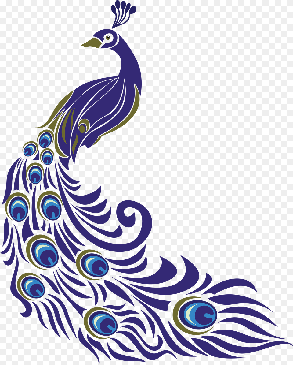 Transparent Mor Pankh Drawing Of Peacock With Colour, Animal, Bird, Fish, Sea Life Free Png