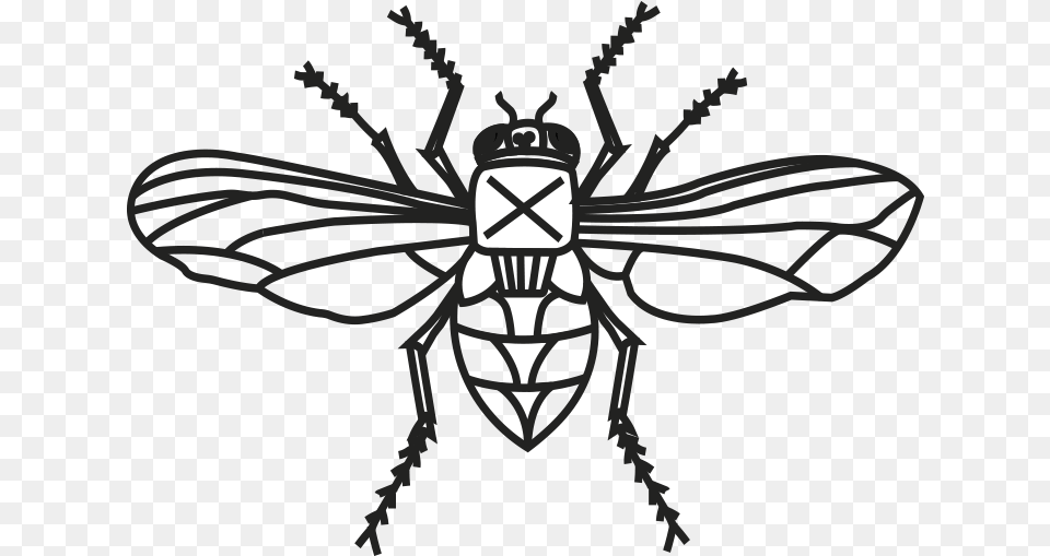 Mosca Bee, Animal, Insect, Invertebrate, Wasp Free Transparent Png