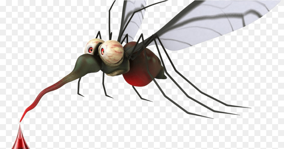 Transparent Mosquito Mosquito, Animal, Bee, Insect, Invertebrate Free Png Download