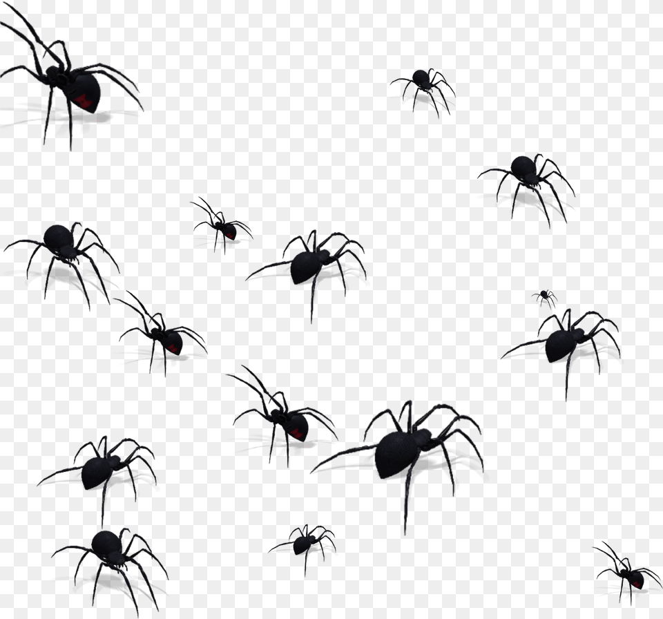 Transparent Mosquito Silhouette Lots Of Spiders, Accessories, Animal, Insect, Invertebrate Free Png Download