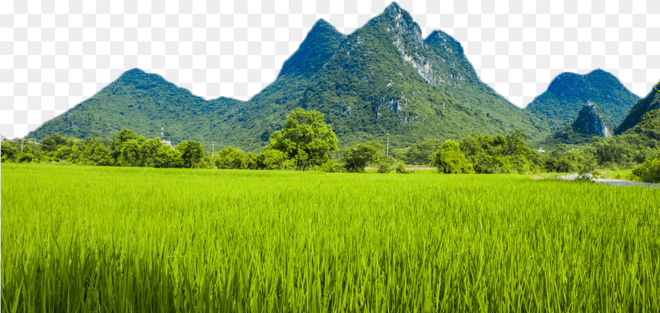 Mountains Clipart Mountains And Paddy Fields, Countryside, Scenery, Outdoors, Nature Free Transparent Png