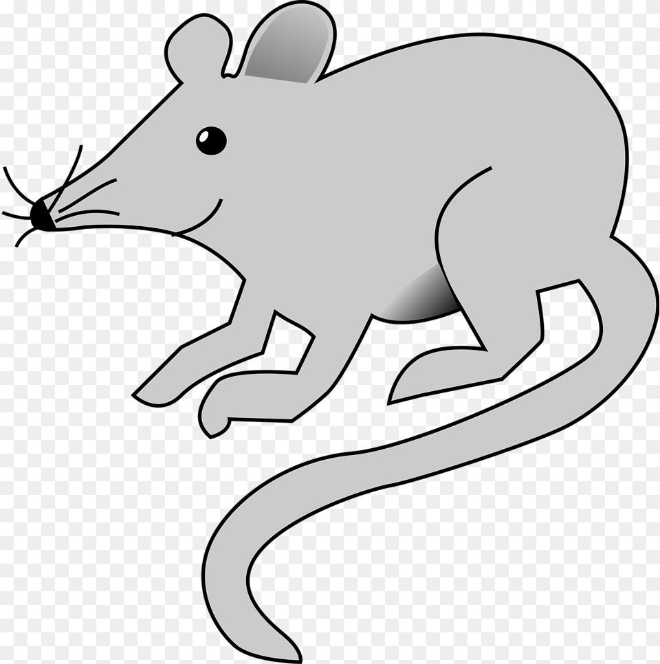 Transparent Mouse Clipart Cartoon Mouse Transparent Background, Animal, Mammal, Fish, Sea Life Free Png Download