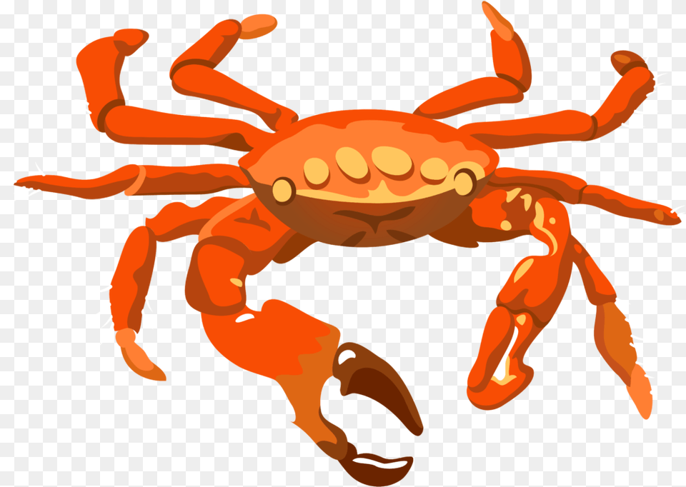 Transparent Mr Crabs Crab Transparent Background, Animal, Food, Invertebrate, Sea Life Png