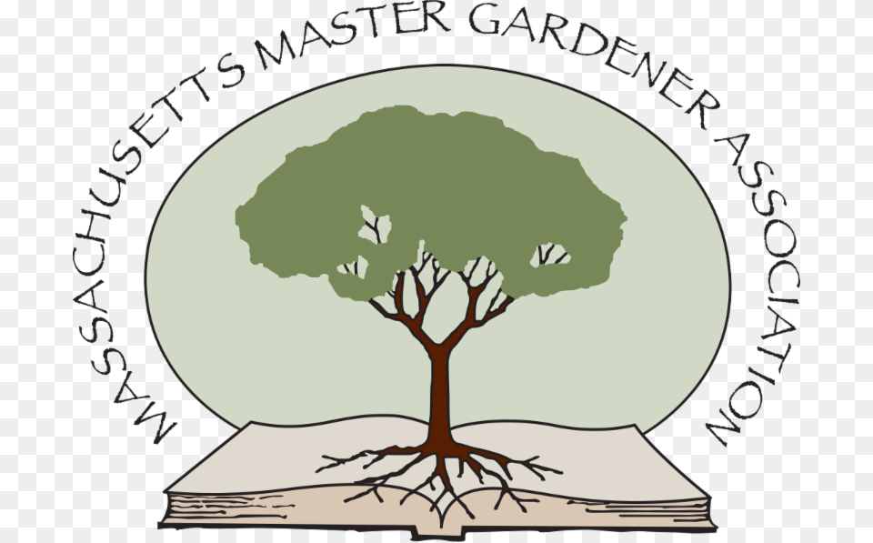 Mud Splatter Texture Massachusetts Master Gardeners, Plant, Tree, Art, Drawing Free Transparent Png