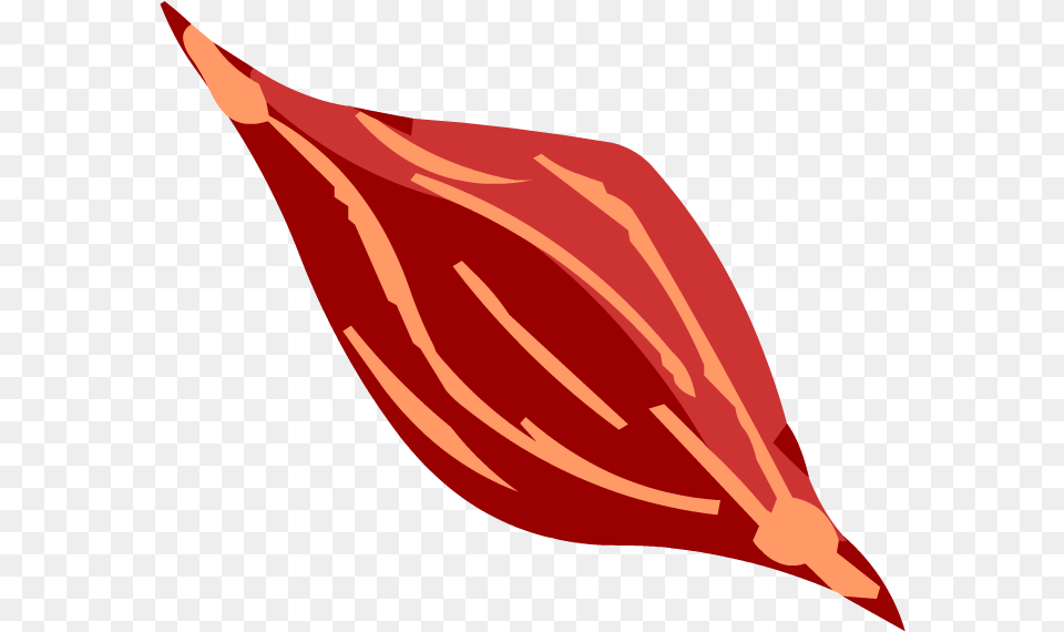 Transparent Muscle Icon Transparent Muscle Cell, Food, Animal, Fish, Meat Free Png
