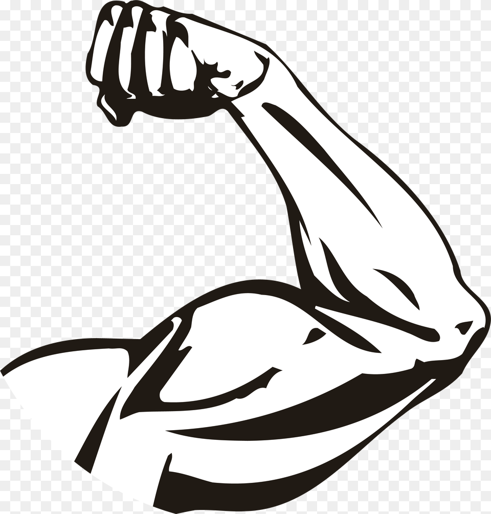 Transparent Muscular Arm Transparent Strong Arm, Body Part, Hand, Person, Stencil Png