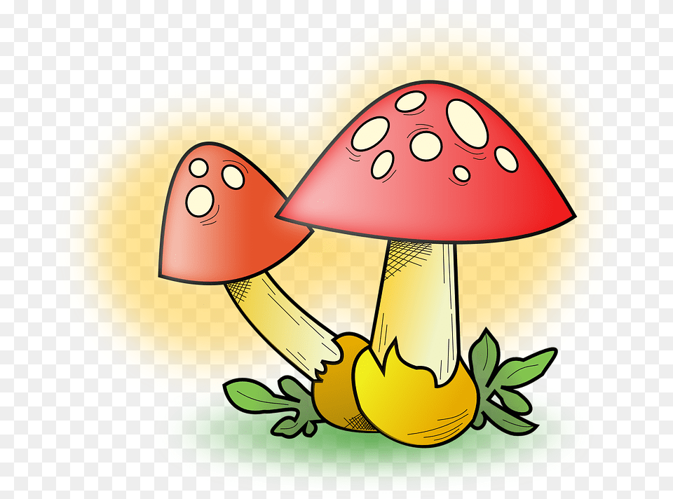 Mushrooms Fungi Clipart, Agaric, Fungus, Mushroom, Plant Free Transparent Png