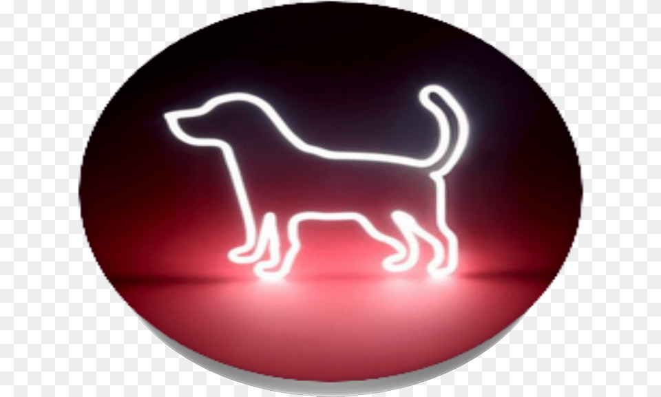 Transparent Mustang Horse Clipart Companion Dog, Light, Neon, Disk Png Image