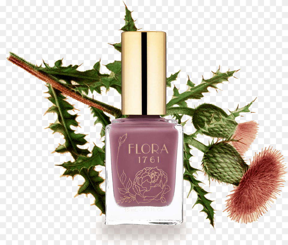 Transparent Nail Polish, Cosmetics, Plant, Flower Free Png